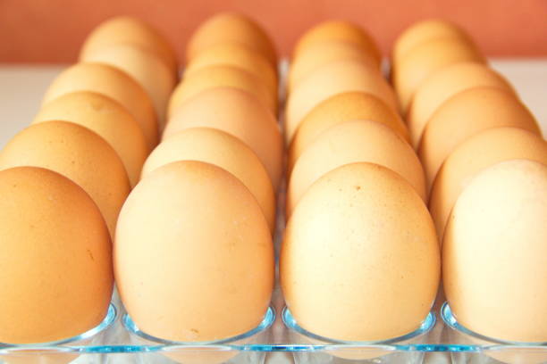 istock Lot of eggs in a row, perspective view 674762372
