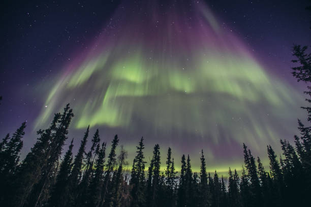 istock Aurora Borealis in Yellowknife, Canada 674762908