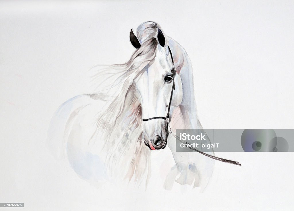 pintura de acuarela andaluza - Ilustración de stock de Caballo - Familia del caballo libre de derechos