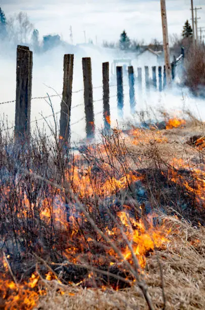 Grassfire in field with fence - spring