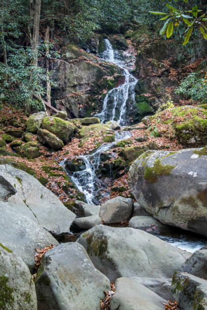 istock Mouse Creek Falls in the Great Smoky Mountains 674769478