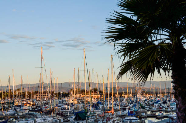 viele boote am hafen bei sonnenaufgang in oxnard, kalifornien - 2322 stock-fotos und bilder