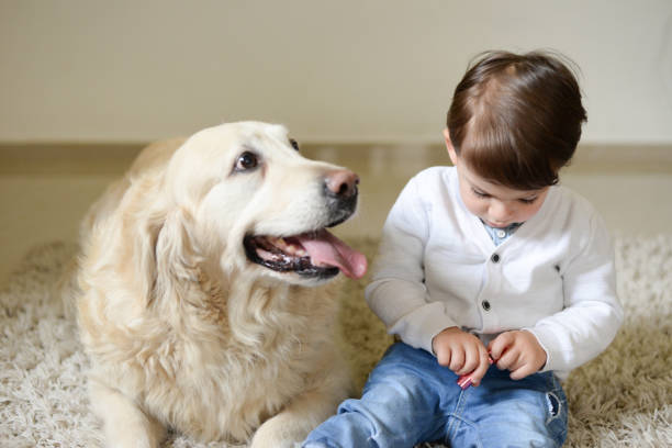 istock Child and dog to play 674778898