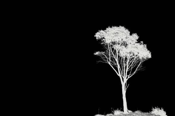 photography on the Legnoncino mountain in Italy
