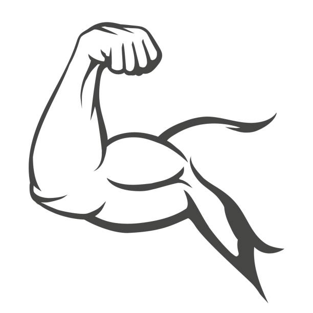 Bodybuilder muscle flex arm Bodybuilder muscle flex arm vector illustration. Strong macho biceps gym flexing hand vector icon isolated on white background cable illustrations stock illustrations