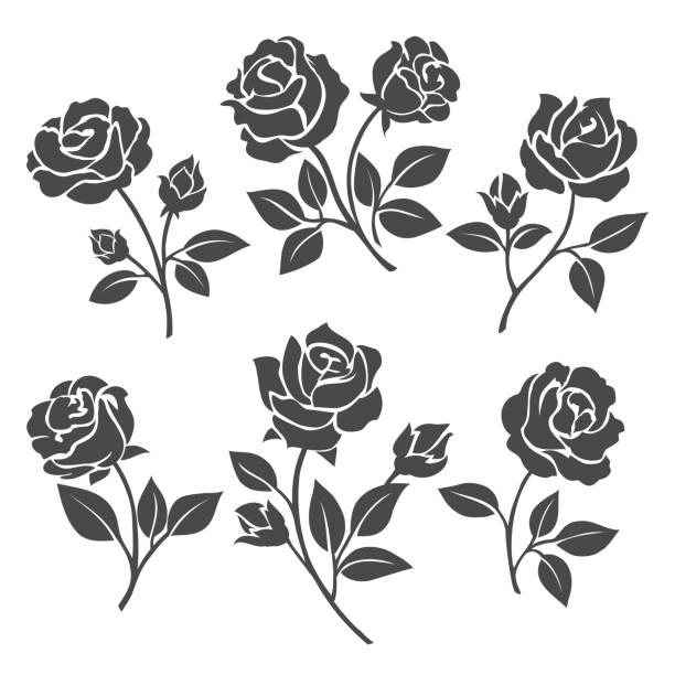 Rose silhouettes decorative set Rose silhouettes vector illustration. Black buds and stems of roses stencils isolated on white background thorn stock illustrations