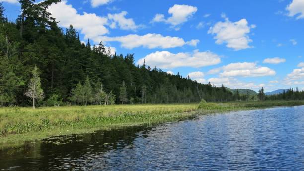 istock Racquette Lake, Adirondack State Park, Grassy Shore, NY 674827316