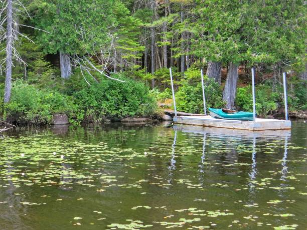 каноэ пришвартован вдоль берега озера ракетт, адирондак государственный парк, ny - racquette стоковые фото и изображения
