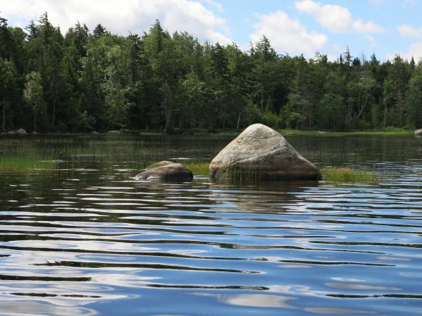 adirondack racquette lake shore, boulder, treelined adirondack state park, ny - racquette - fotografias e filmes do acervo