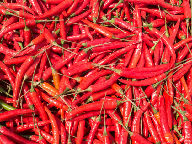 istock Red chili in organic farmer market 674839068