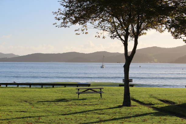 istock Beach front in New Zealand 674839762