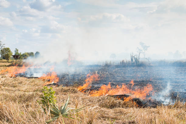 istock Fires in the dry season 674842132