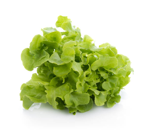 istock Green oak lettuce isolated on white background 674842956