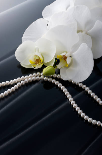 istock Butterfly Orchids and Pearls 674853848