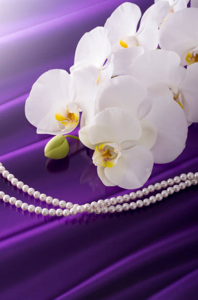 istock Butterfly orchid and pearl background 674853962