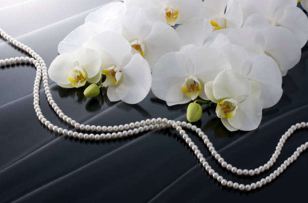 istock Butterfly Orchids and Pearls 674854020