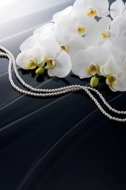 istock Butterfly Orchids and Pearls 674854488