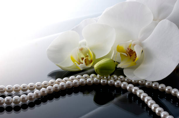 istock Butterfly Orchids and Pearls 674854552