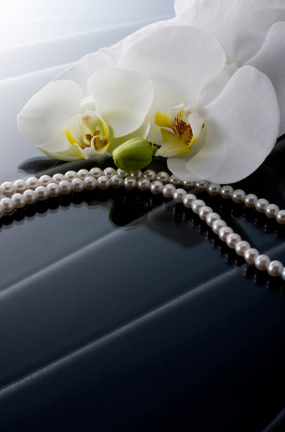 istock Butterfly Orchids and Pearls 674857130