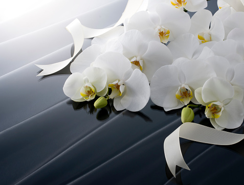 Butterfly Orchid and Black Satin Drape Gift Background Material