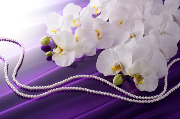 istock Butterfly Orchids and Pearls 674862952