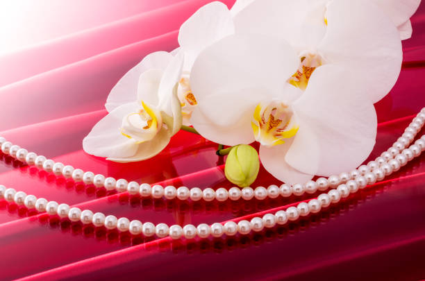 istock Butterfly Orchids and Pearls 674864180