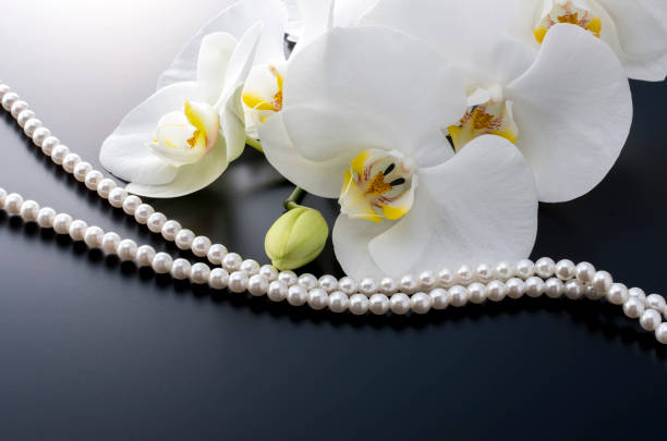 istock Butterfly Orchids and Pearls 674866492