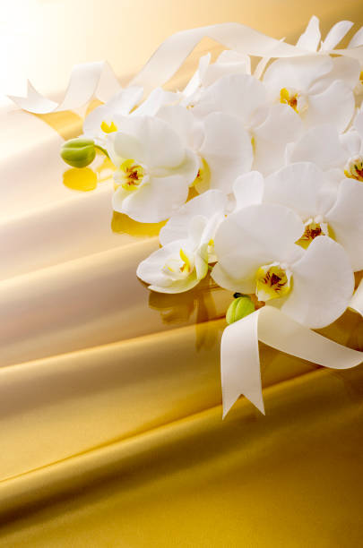 istock Butterfly orchid and golden satin drape 674866880
