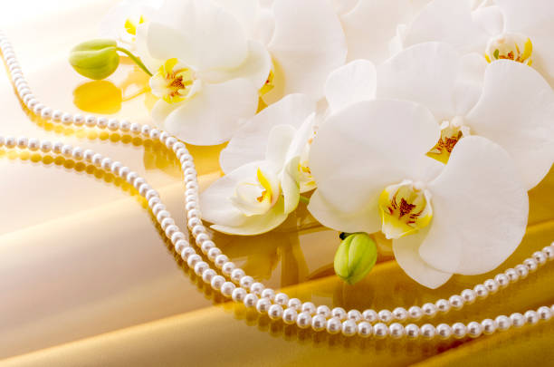 istock Butterfly Orchids and Pearls 674866992