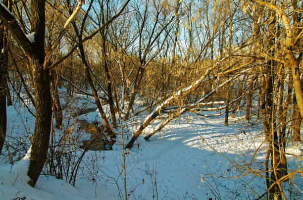 istock Moscow Park on a clear winter day 674870536