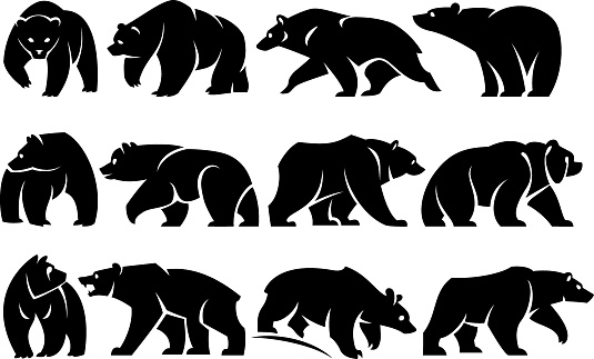 Twelve separate walking figures of bears. Black silhouette. Isolated on a white background