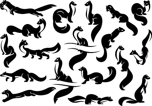 A set of figures of weasels, martens, ferrets. Black silhouette. Isolated on a white background