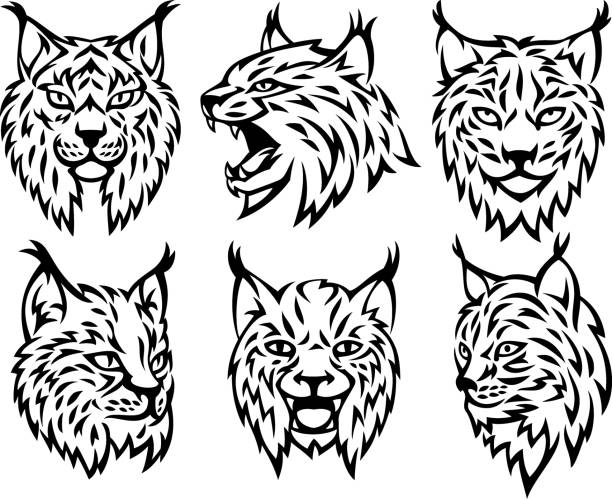 Six lynx heads vector art illustration