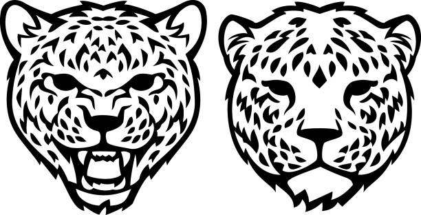 две головы леопарда - leopard 2 stock illustrations