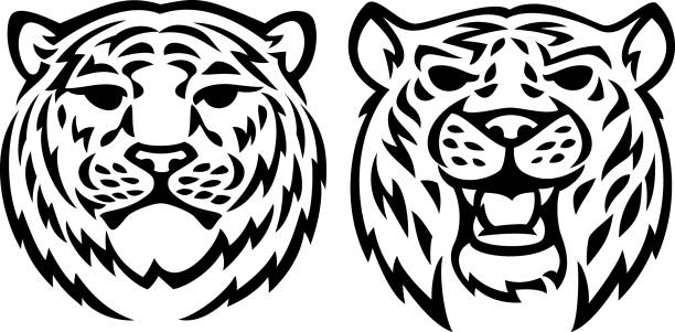 Two tiger heads vector art illustration