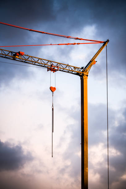istock Small crane with dark clouds in the background 674881024