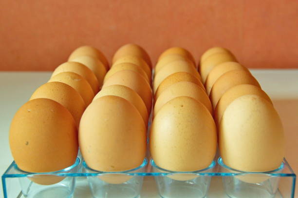 istock Lot of eggs in a row, perspective view 674886082