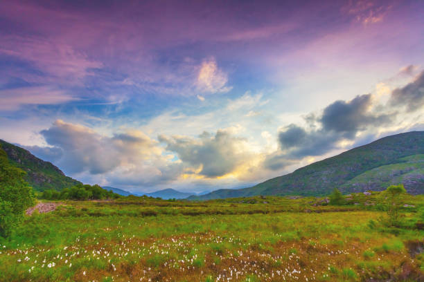 пейзаж с хлопковым полем вдоль кольца керри, ирландия - overcast republic of ireland cloudscape cloud стоковые фото и изображения