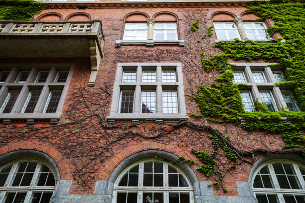 Old red brick building, covered with green ivy