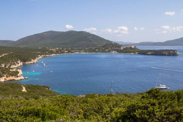 istock Summer landscape with green bushes on Sardinia Island 674909686