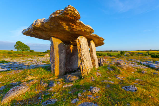 Poulnabrone dolmen in County Clare, Ireland Poulnabrone dolmen is a portal tomb, located in the Burren, County Clare, Ireland. megalith stock pictures, royalty-free photos & images