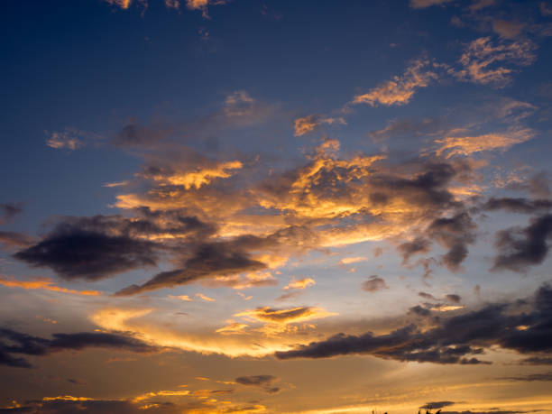 istock sunset silhouette forest in city 674910098