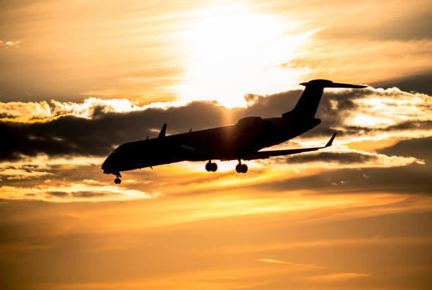 istock Airplane landing at sunset 674910306