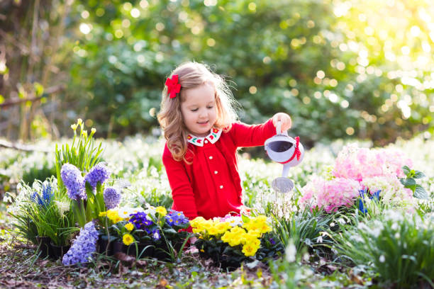 Kids plant and water flowers in spring garden Child planting spring flowers in sunny garden. Little girl gardener plants hyacinth, daffodil, snowdrop in flower bed. Gardening tools and water can for kids. Family with children work in the backyard. hyacinth red stock pictures, royalty-free photos & images