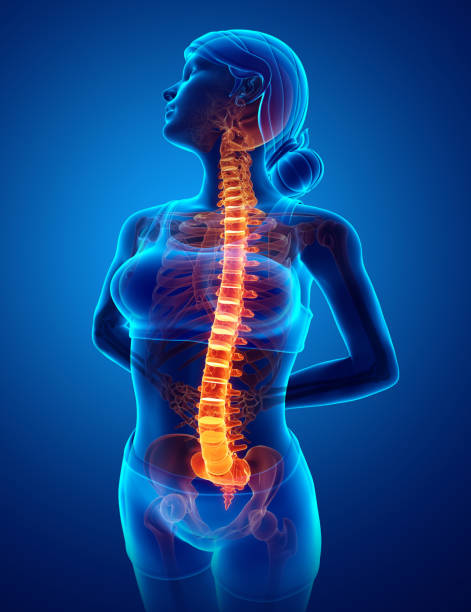 istock Women Feeling the Back pain 674920186