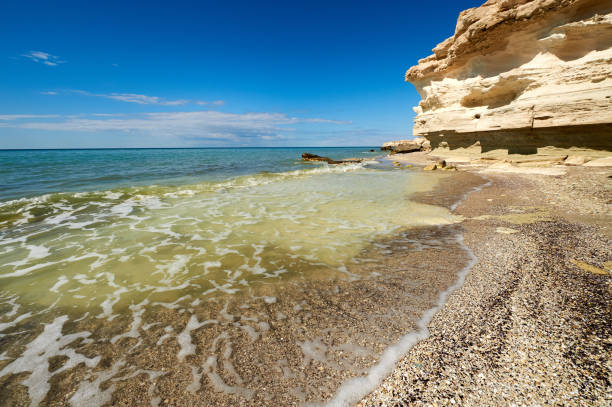 istock On the shore of the Caspian Sea 674938492