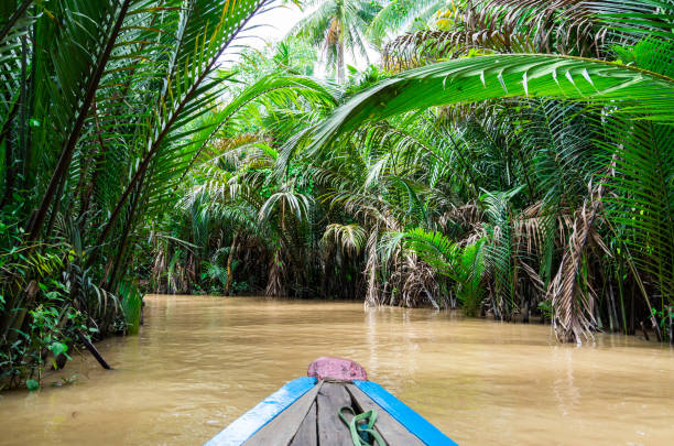 istock Boating on the Mekong Delta in Vietnam 674938756