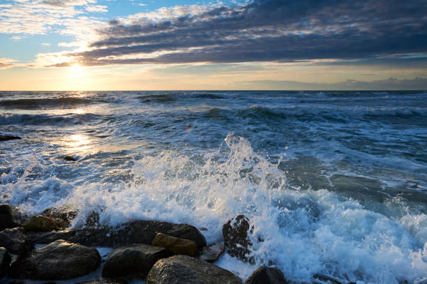 istock On the shore of the Caspian Sea 674942434