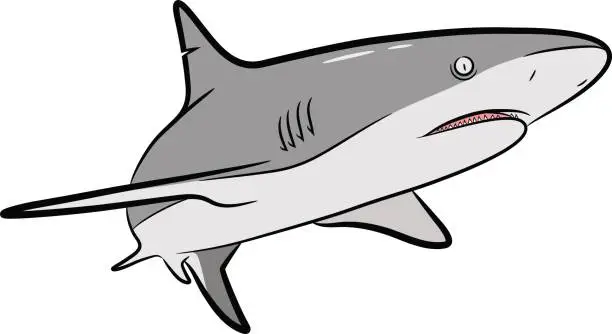 Vector illustration of Shark Vector Cartoon