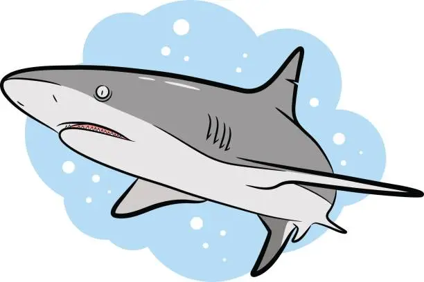 Vector illustration of Swimming Grey Shark Vector Cartoon